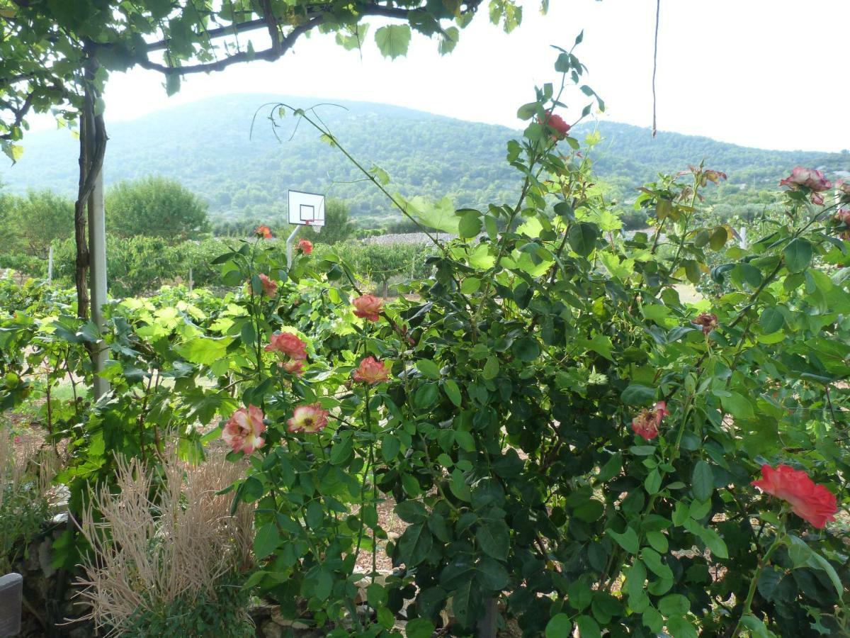 Country House Speedy Komiža Exterior foto